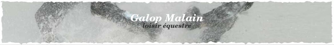 Galop Malain